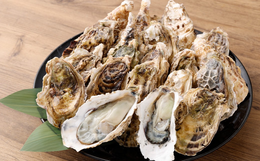 【指定日時必須】 戸石町産 殻付き牡蠣 約2kg（約20個／加熱用） 【 2026年12月上旬～2027年3月下旬発送予定 】 牡蠣 カキ かき 殻付き 国産 長崎県産 養殖 養殖牡蠣 養殖真牡蠣 ミネラル 栄養 美容 健康 加熱 牡蠣料理