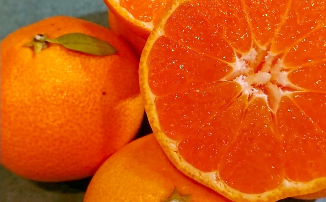 長崎県産 晩生温州みかん M～Lサイズ 5kg ／ 果物 フルーツ 柑橘 蜜柑 ミカン みかん 温州みかん 晩生 Mサイズ Lサイズ 国産 大将農園 長崎県 長崎市 【2026年1月上旬～2月下旬迄発送予定】