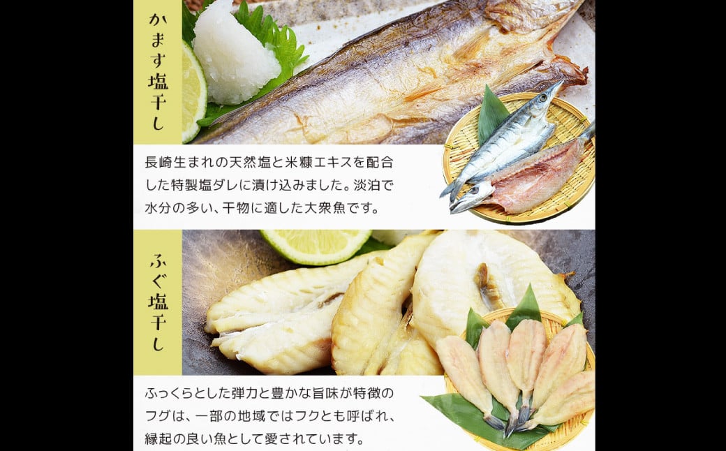 【全12回定期便】【最長2ヵ月前後】長崎 海鮮三昧 ひものセット 干物 乾物 魚介 お魚 魚  おつまみ 酒の肴