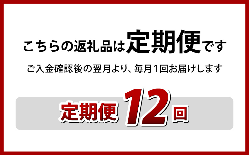 【全12回定期便】具材付き！皿うどん揚麺 4人前 ／ 計48人前 (4人前×12回) 皿うどん 麺類 冷凍 みろくや 長崎県 長崎市