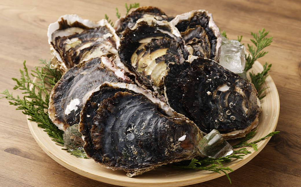 【指定日時必須】戸石産 岩牡蠣 計約2kg（生食用／カキナイフ付き）【2026年5月8日～8月31日迄発送予定】 牡蠣 カキ イワガキ 生牡蠣 長崎県 長崎市