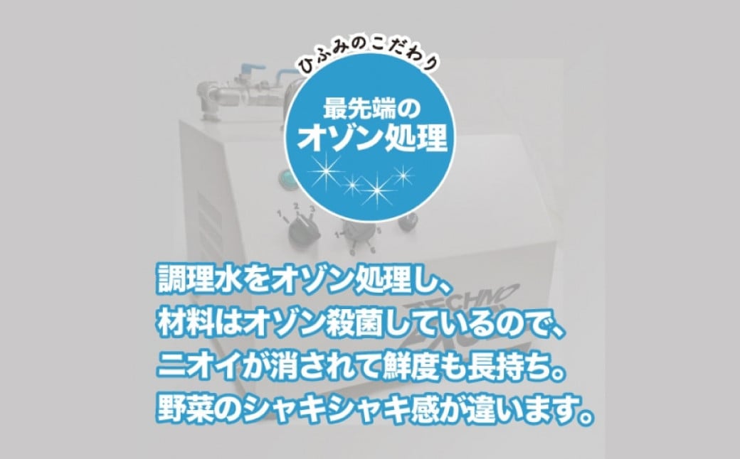 【全12回定期便】《具材付》長崎冷凍皿うどん 総計120食 (10食×12回) ／ 長崎皿うどん 皿うどん 麺 麺類 あんかけ 具付き ひふみ 長崎県 長崎市