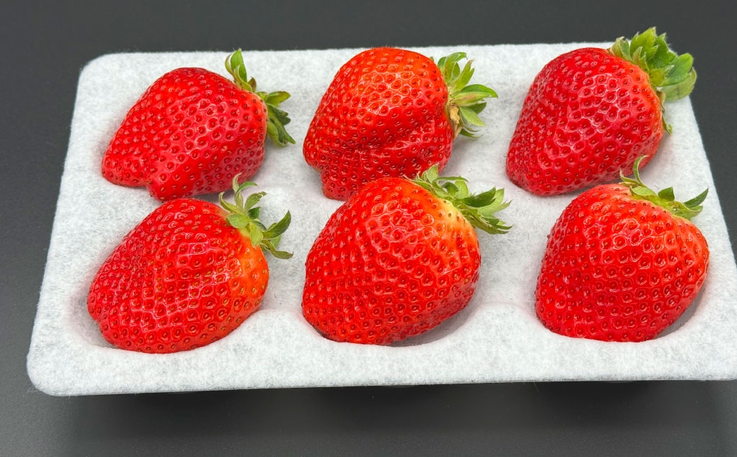 いちご 「 さちのか 」 約1kg（500g×2箱） 【2027年1月上旬～3月上旬出荷予定】 果物 くだもの 果実 苺 イチゴ フルーツ 果肉 国産 長崎県産 ジューシー 甘み コク 爽やか ビタミンC 酸味