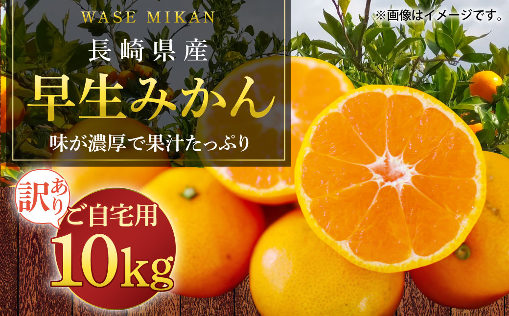 長崎県産 訳あり 早生みかん10kg (ご自宅用) ／ 果物 フルーツ 柑橘 蜜柑 ミカン 温州みかん 早生 訳アリ ワケアリ わけあり 理由あり 国産 大将農園 長崎県 長崎市 【2025年11月下旬〜2026年1月下旬迄発送予定】