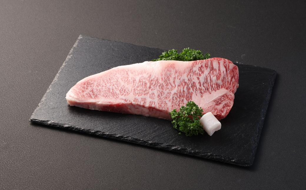 長崎和牛 ヒレ・サーロインセット 計400g ／ 和牛 国産 肉 お肉 牛肉 ステーキ 焼肉 バーベキュー BBQ アウトドア 長崎 肉のマルシン