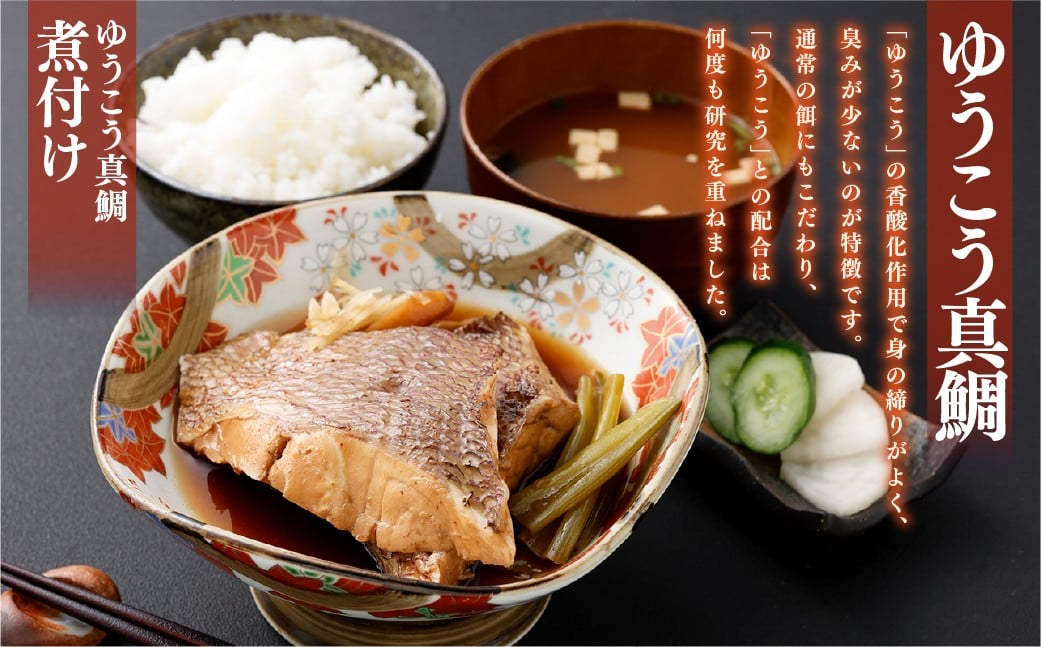 【14営業日以内発送】【premiumfishbrand】 ゆうこう真鯛 （活〆） ×1尾 （約1.5kg） 真鯛 真鯛 マダイ まだい 鯛 タイ たい ゆうこう ブランド魚 魚 海鮮 九州 長崎県 長崎市 冷蔵