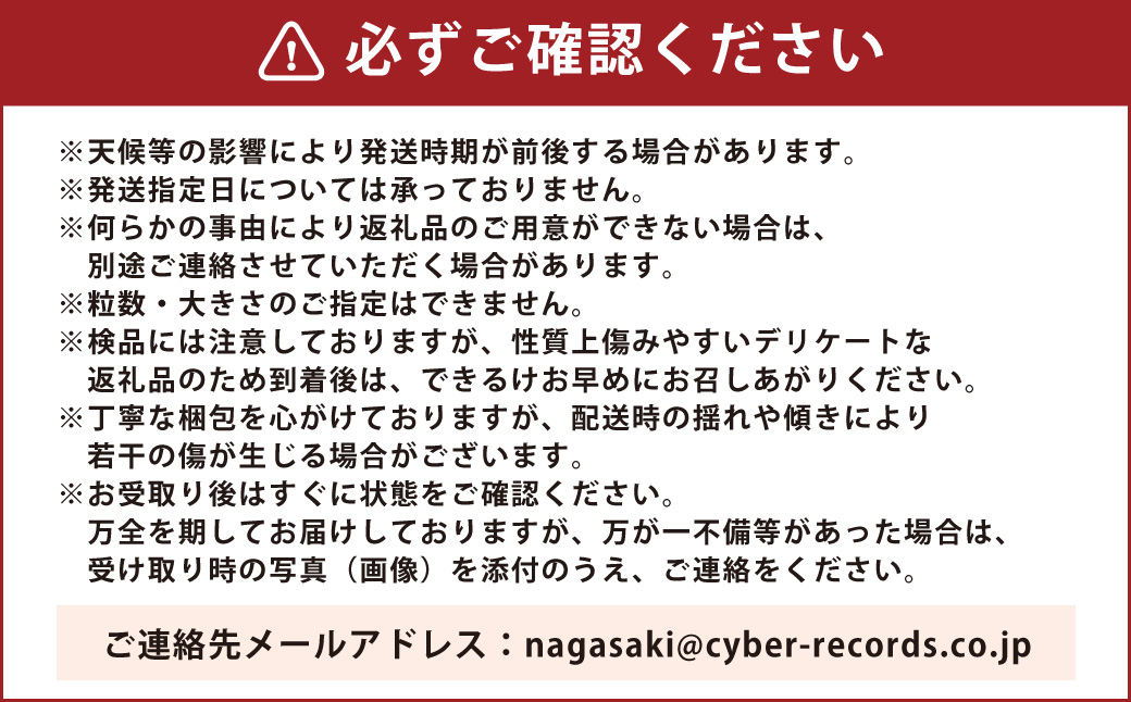 長崎県産いちご ゆめの香 約1kg (250g×4パック) ／ 果物 くだもの フルーツ イチゴ 苺 長崎県 長崎市 【2025年11月下旬-2026年3月下旬迄発送予定】