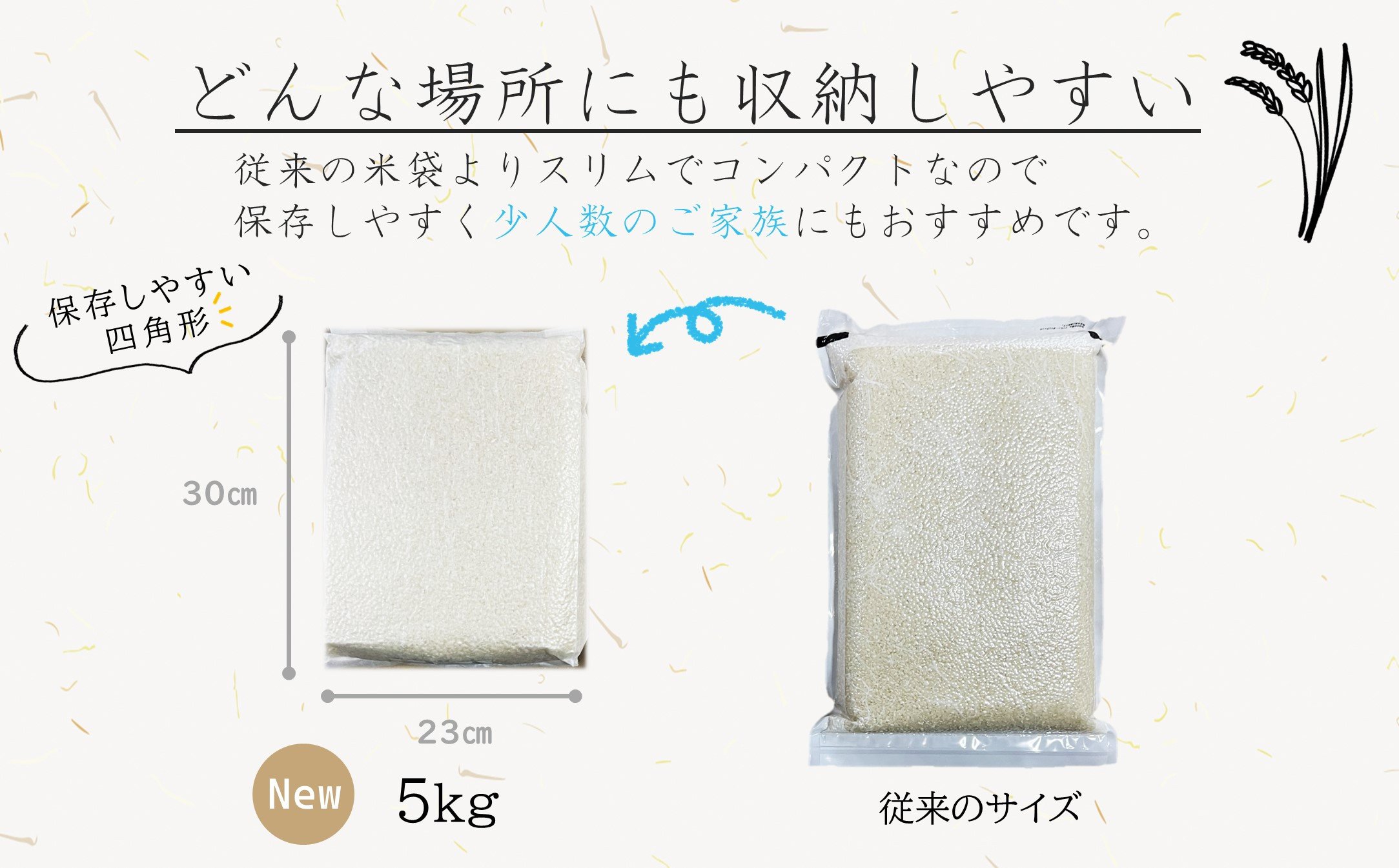 【令和6年産】無洗米 長崎 なつほのか 計10kg（5kg×2袋）  ／ お米 米 こめ コメ