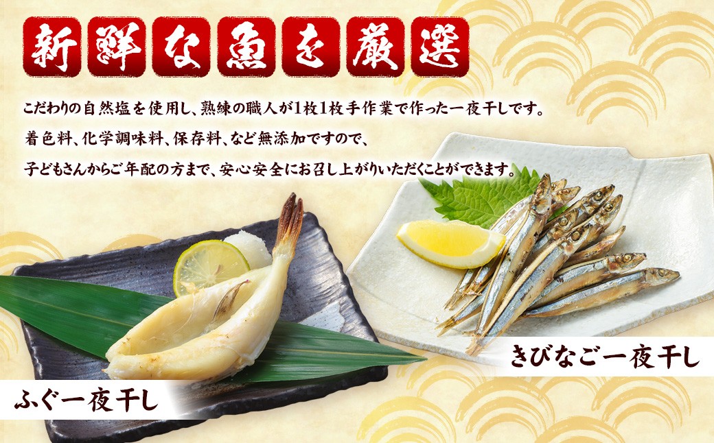 一夜干しざんまいセット ／ 干物 ひもの 魚介 海鮮 海産物 真空パック おかず おつまみ 長崎県 長崎市