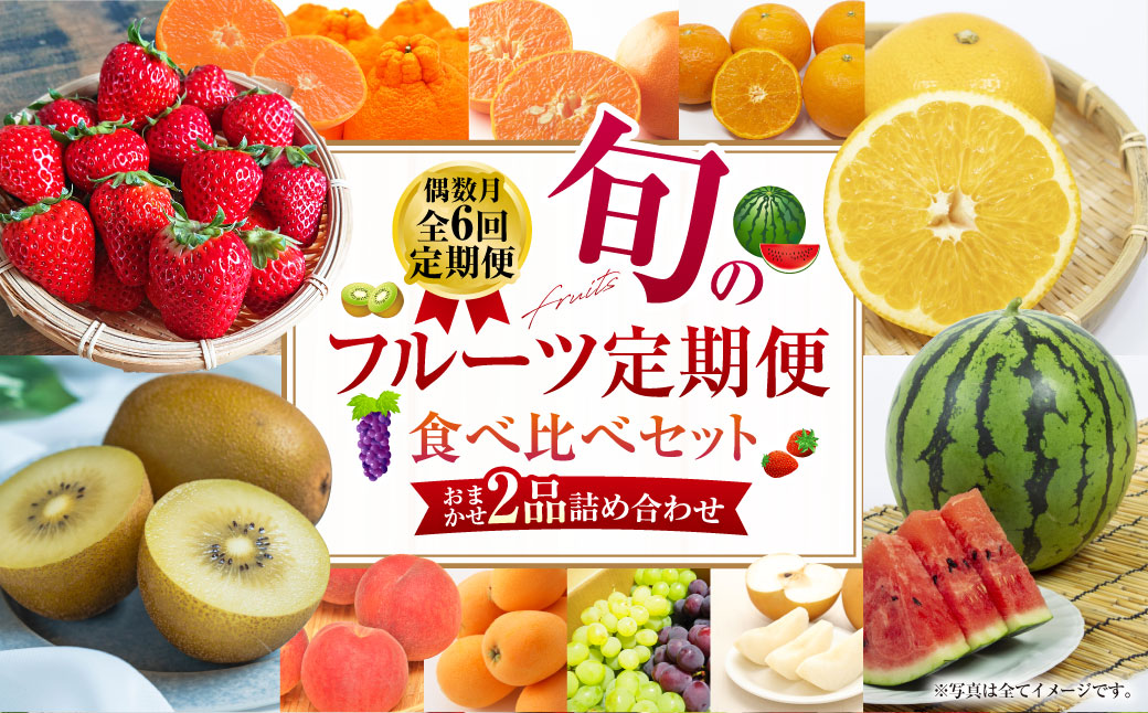 【年6回定期便（偶数月配送）】旬のフルーツ定期便 食べ比べセット 季節により厳選した果物を2品目詰め合わせ 果物 くだもの