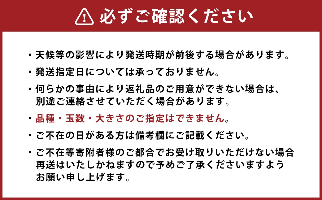 温州みかん （ 早生 ） 約5kg （ S ～ Lサイズ ） みかん ミカン 蜜柑 早生みかん 柑橘 果物 くだもの 果実 フルーツ 長崎県産 【 2026年11月上旬～12月下旬迄発送予定 】