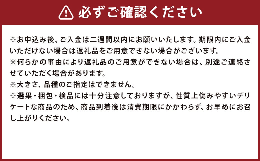 長崎県産 露地びわM 16玉入り ／ 1玉約35g 計約560g びわ ビワ フルーツ 果物 M玉 初夏 国産 長崎市産 九州産 【2025年5月下旬-2025年6月下旬迄発送予定】