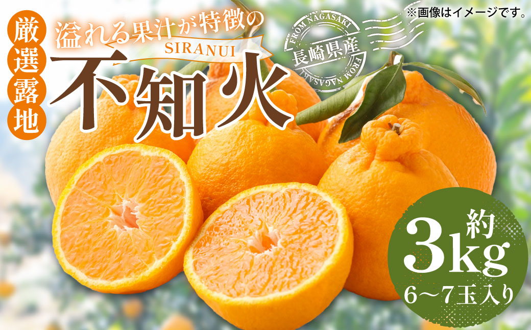 厳選 露地 不知火 希少 4Lサイズ 6〜7玉入り (約3kg) 【2025年3月下旬-4月下旬発送予定】 ／ 果物 くだもの フルーツ 柑橘 完熟 しらぬい 長崎県産 国産 長崎県 長崎市