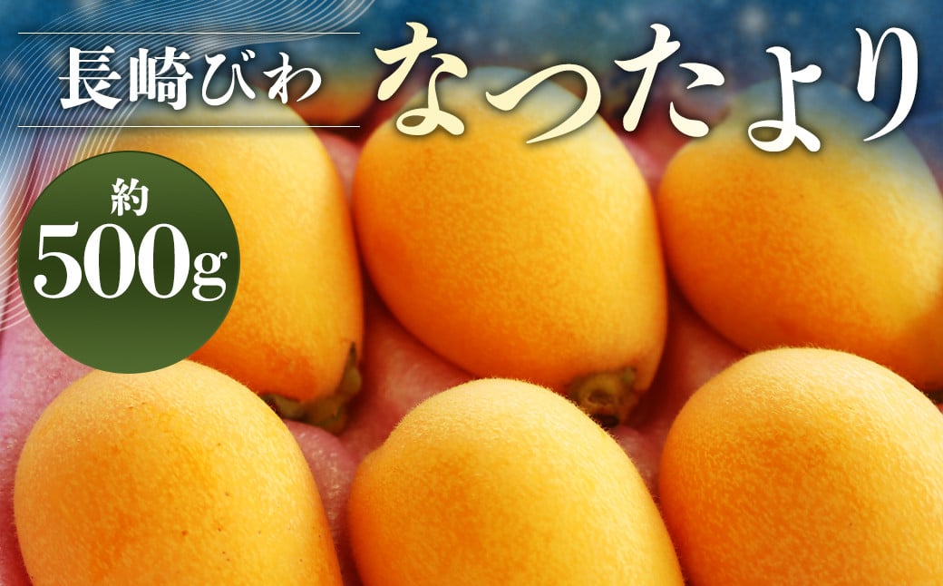 【数量限定】 長崎びわ なつたより 赤秀 計約500g 【2025年5月上旬～2025年5月下旬迄発送予定】 びわ 枇杷 ビワ 果物 くだもの フルーツ 長崎県 長崎市