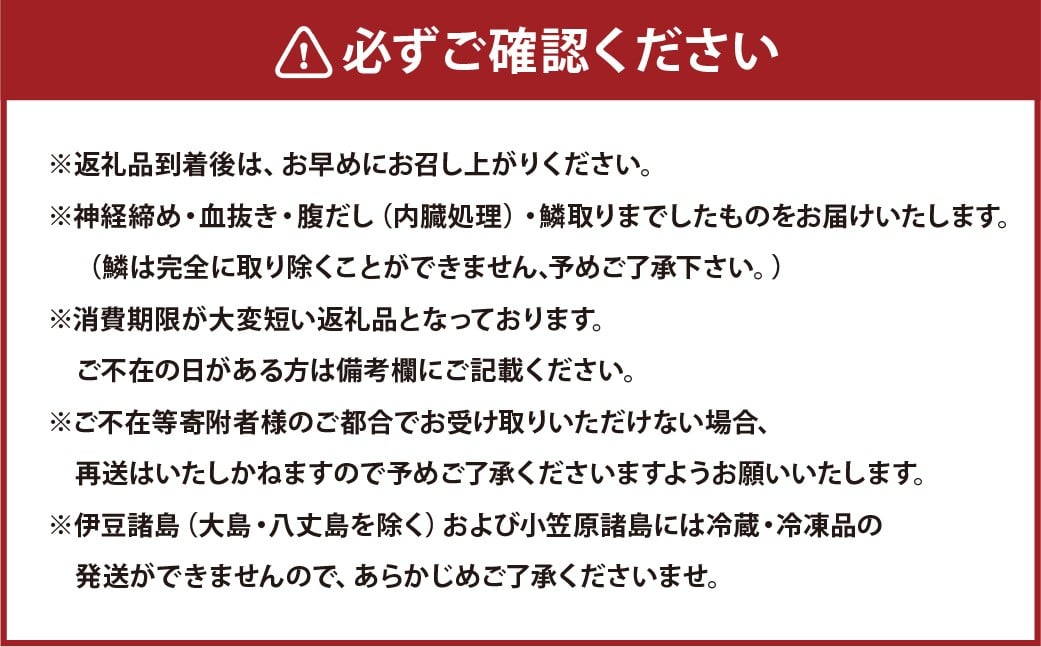 【14営業日以内発送】【premiumfishbrand】 ゆうこうシマアジ （活〆） ×1尾 （約1kg） 、 ゆうこう真鯛 （活〆） ×1尾 （約1.5kg） ／ シマアジ しまあじ 鯵 アジ あじ 真鯛 真鯛 マダイ まだい 鯛 タイ たい ゆうこう ブランド魚 魚 海鮮 九州 長崎県 長崎市 冷蔵