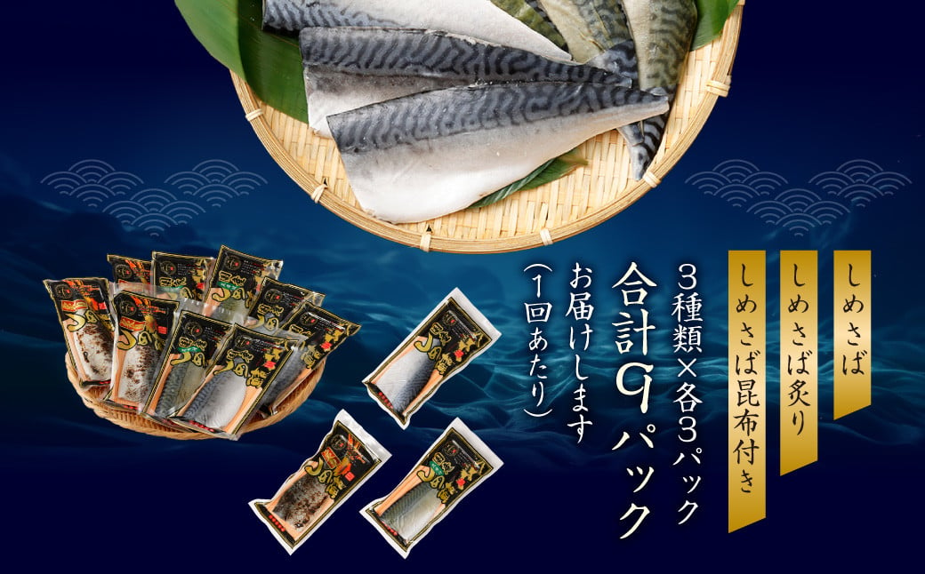 【全12回定期便】旬の美味しさを感じる！しめさば3種詰め合わせ サバ 鯖 魚介類 海産物 冷凍 国産 長崎