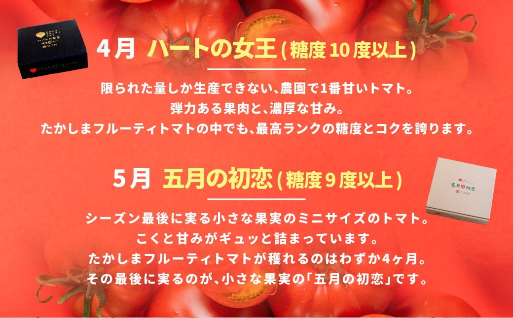 たかしまフルーティトマトの贅沢コース 【年4回定期便 （2月／3月／4月／5月配送）】 ／ 情熱ハート ハートのプリンセス ハートの女王 五月の初恋 合計約7.2kg フルーティートマト フルーツトマト トマト とまと 野菜 やさい