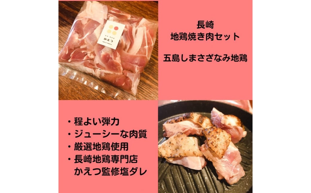 長崎県産 五島地鶏 焼肉セット (自家製タレ付き) ／ お肉 肉 鶏肉 地鶏 国産 真空パック 急速冷凍 五島しまさざなみ地鶏 長崎県 長崎市