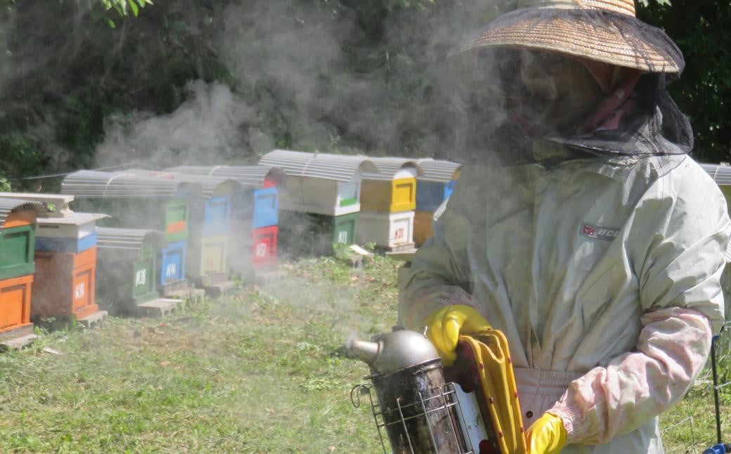 山の花 ハチミツ 400g瓶 × 2本 セット 合計800g はちみつ  蜂蜜 ハニー 非加熱 長崎