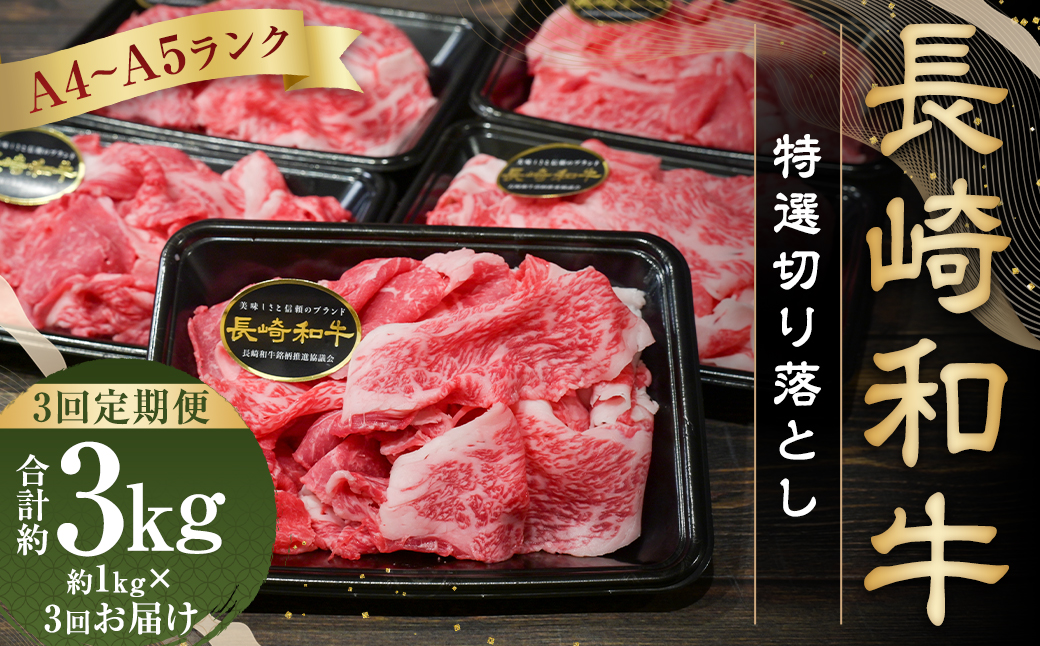 【全3回定期便】【A4〜A5ランク】長崎和牛 特選 切り落とし 約1kg (200g×5パック) 牛肉 肉 牛 和牛 国産牛 国産 お肉