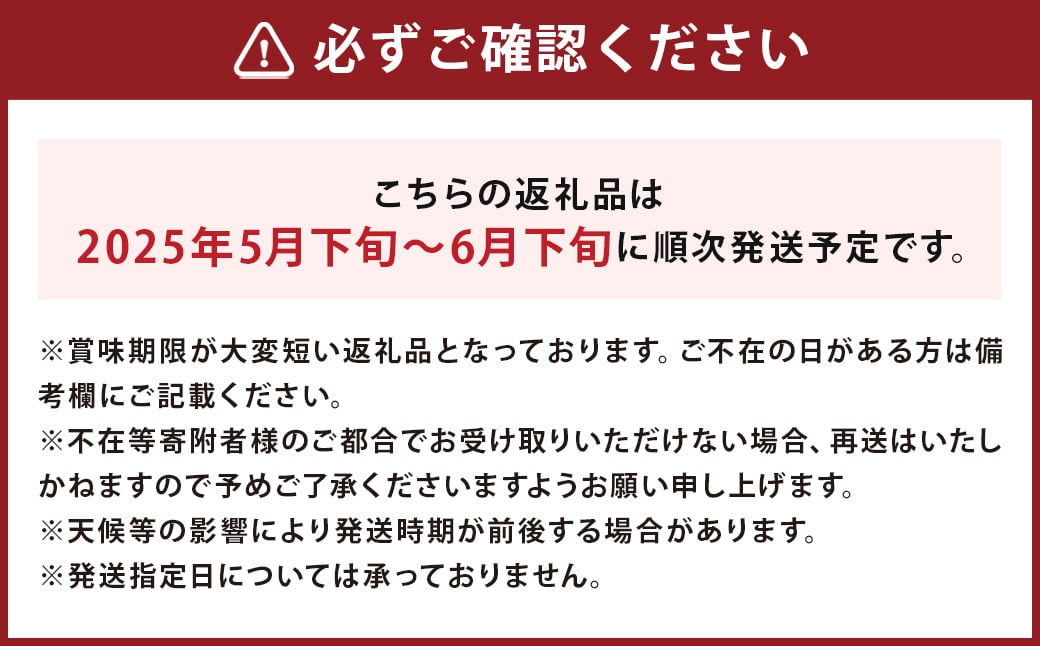 長崎県産 露地びわM 16玉入り ／ 1玉約35g 計約560g びわ ビワ フルーツ 果物 M玉 初夏 国産 長崎市産 九州産 【2025年5月下旬-2025年6月下旬迄発送予定】