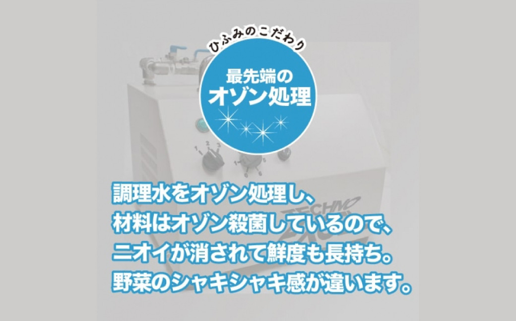 【全6回定期便】《具材付》長崎冷凍ちゃんぽん 総計60食 (10食×6回) ／ 長崎ちゃんぽん ちゃんぽん チャンポン 麺 麺類 スープ 具付き ひふみ 長崎県 長崎市