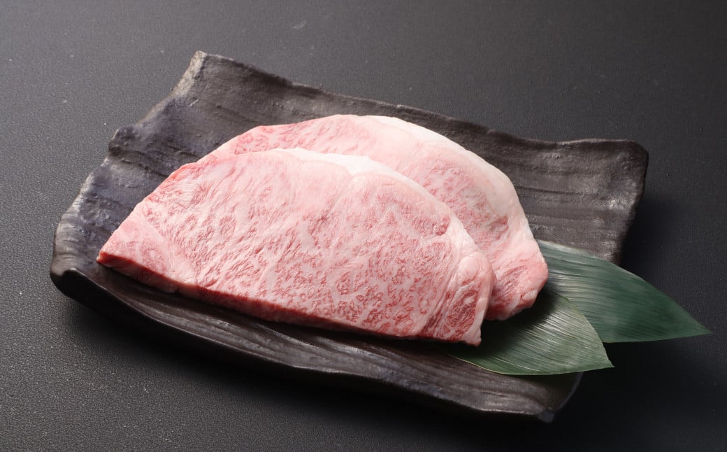 【全3回定期便】長崎和牛 サーロイン ステーキ 約200g×2枚 牛肉 長崎 サーロインステーキ 牛肉 牛 肉 お肉 和牛 国産 国産牛 赤身 冷凍 定期便2人前 お祝い 焼肉 BBQ バーベキュー