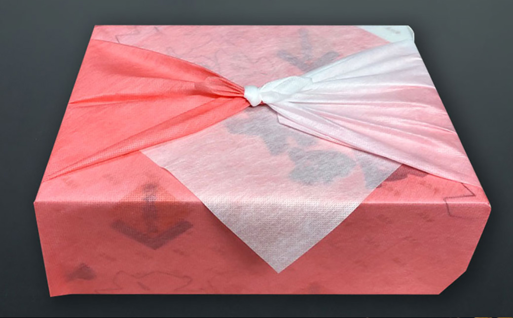 よくばりセットBタイプ【長崎和牛出島ばらいろ・長崎県産SPF五島美豚】 ／  和牛 国産 お肉 肉 牛肉 SPF豚 五島美豚 豚肉 長崎県 長崎市