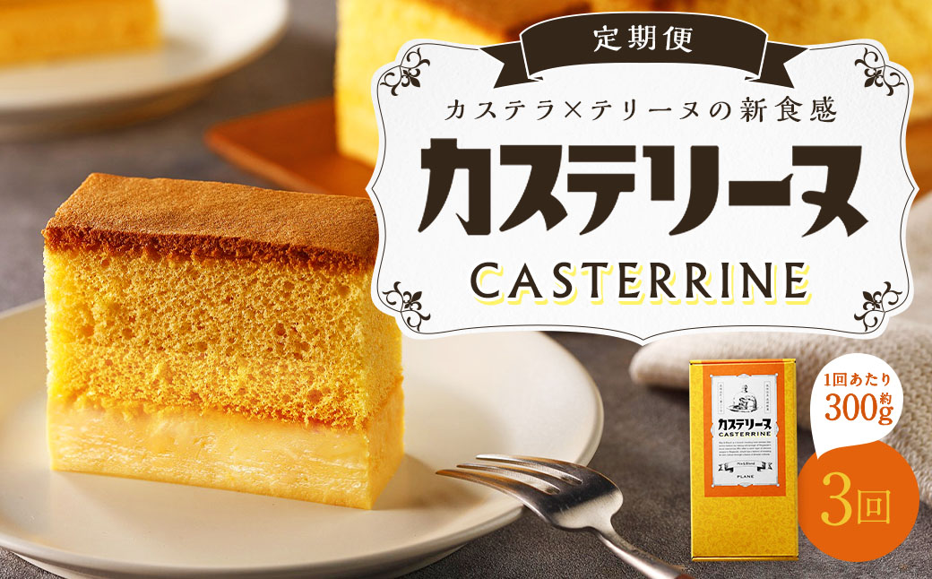 【全3回定期便】長崎カステリーヌ 1本 合計3本 ／ タナカヤ カステラ かすてら スイーツ デザート お菓子 菓子 長崎県 長崎市