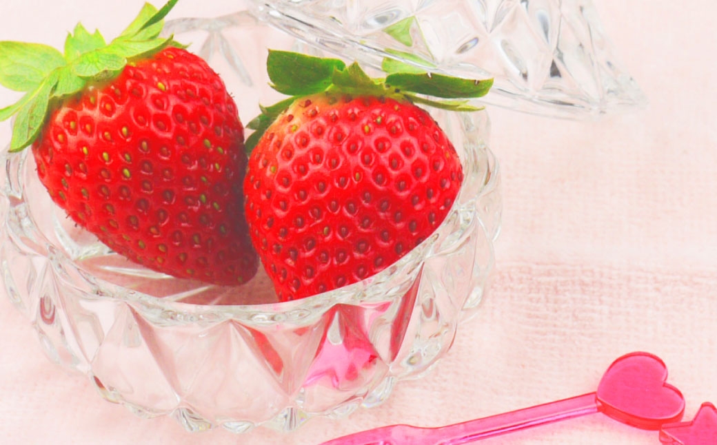 いちご 「 さちのか 」 約1kg（500g×2箱） 【2027年1月上旬～3月上旬出荷予定】 果物 くだもの 果実 苺 イチゴ フルーツ 果肉 国産 長崎県産 ジューシー 甘み コク 爽やか ビタミンC 酸味