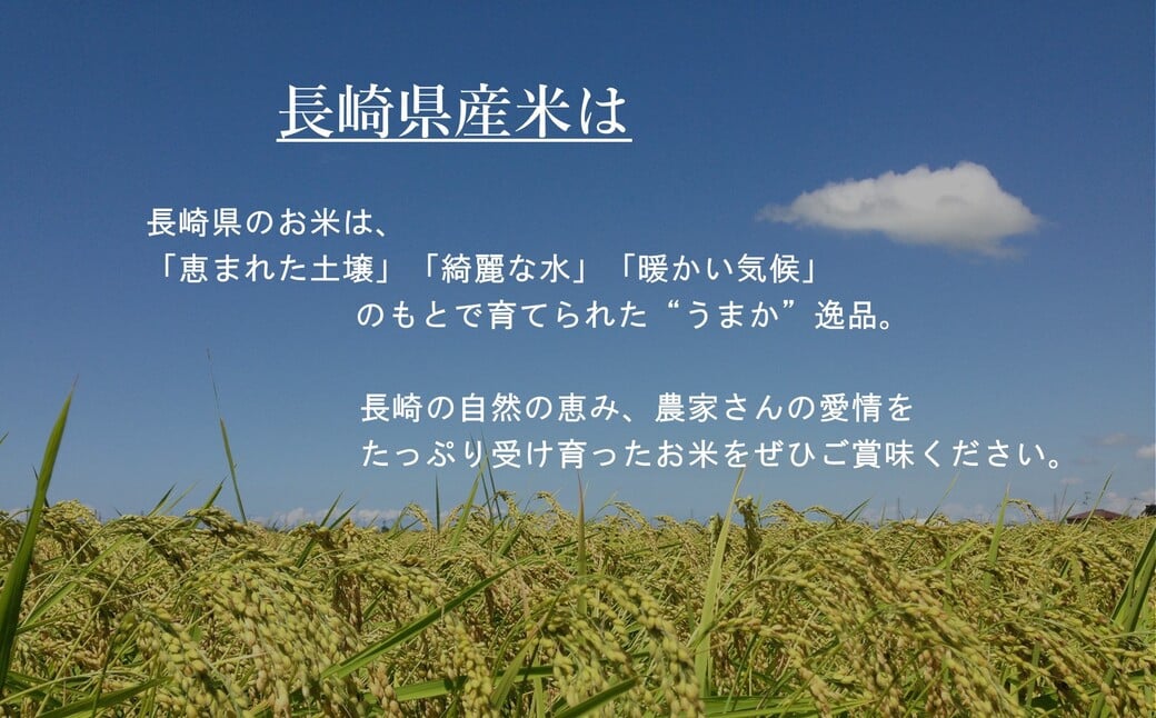 【令和6年産】無洗米 特別栽培米 長崎つや姫 計5kg（2.5kg×2袋） 新米 ／ お米 米 コメ ご飯 白米