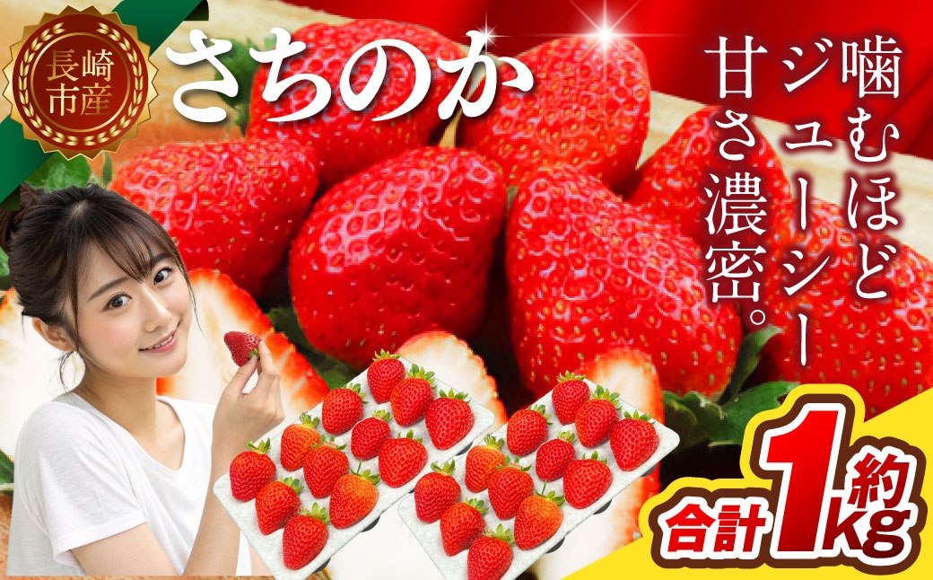 いちご 「 さちのか 」 約1kg（500g×2箱） 【2027年1月上旬～3月上旬出荷予定】 果物 くだもの 果実 苺 イチゴ フルーツ 果肉 国産 長崎県産 ジューシー 甘み コク 爽やか ビタミンC 酸味