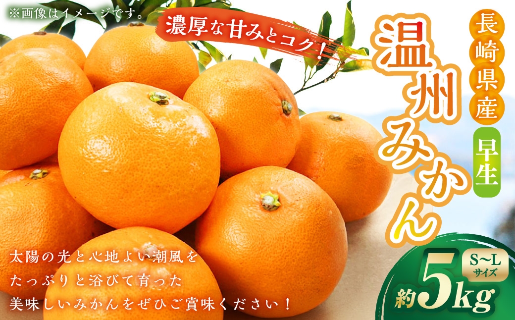 温州みかん （ 早生 ） 約5kg （ S ～ Lサイズ ） みかん ミカン 蜜柑 早生みかん 柑橘 果物 くだもの 果実 フルーツ 長崎県産 【 2026年11月上旬～12月下旬迄発送予定 】