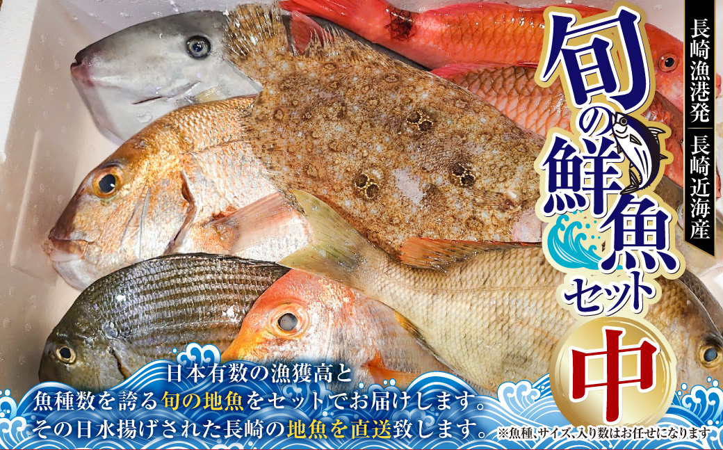 長崎漁港発！長崎近海産旬の鮮魚セット (中) ／ 魚 魚介 鮮魚 海鮮 海産物 刺身 セット 地魚 詰め合わせ 詰合せ つめあわせ 大将農園 長崎県 長崎市 【2025年9月下旬～12月下旬迄発送予定】