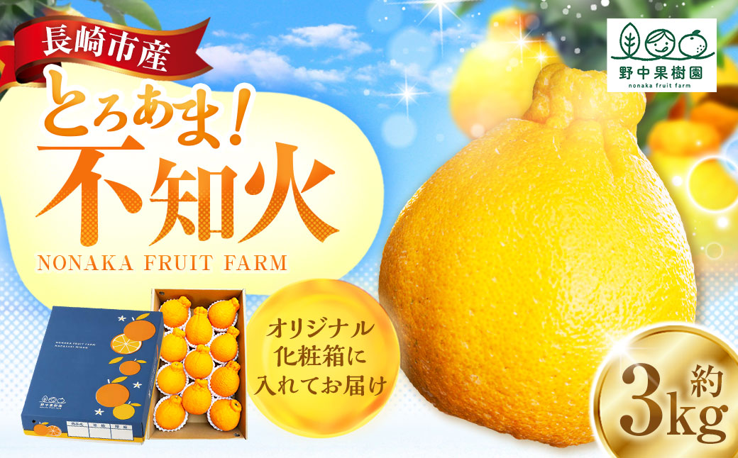 先行予約 不知火 約3kgセット ／ 季節限定 柑橘 かんきつ しらぬい フルーツ 果物 長崎県 長崎市 野中果樹園 オンライン決済限定 アフター保証 【2026年3月上旬-下旬迄発送予定】