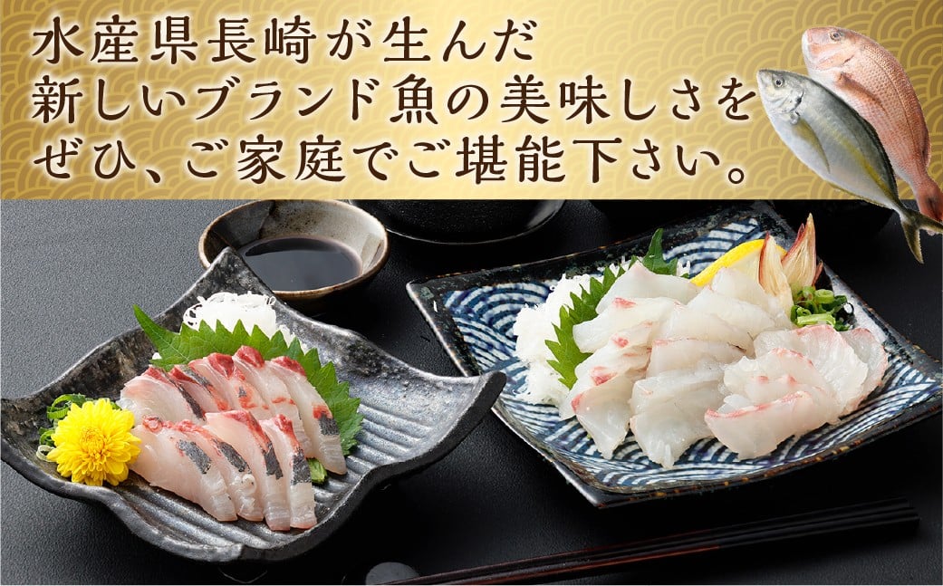 【14営業日以内発送】【premiumfishbrand】 ゆうこうシマアジ （活〆） ×1尾 （約1kg） 、 ゆうこう真鯛 （活〆） ×1尾 （約1.5kg） ／ シマアジ しまあじ 鯵 アジ あじ 真鯛 真鯛 マダイ まだい 鯛 タイ たい ゆうこう ブランド魚 魚 海鮮 九州 長崎県 長崎市 冷蔵