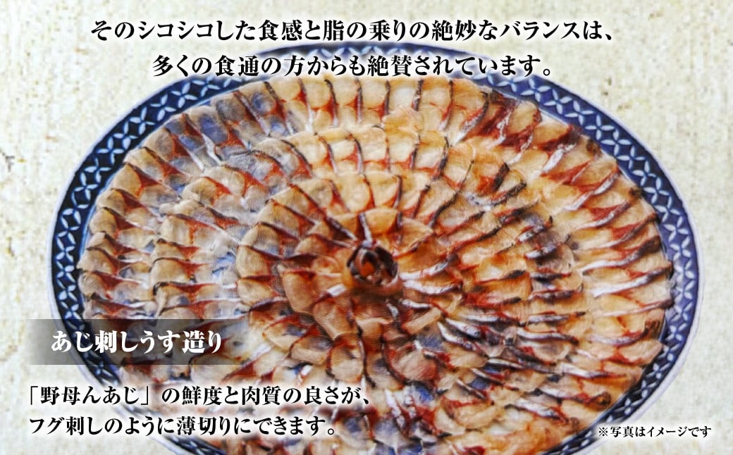 天然 一本釣り アジ【野母んあじ】 2～3本 約1kg 鯵 あじ 刺身 焼き魚 鮮魚 海産物 魚介 お魚 長崎