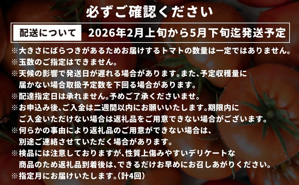 たかしまフルーティトマトの小箱コース 【年4回定期便（2／3月／4月／5月配送）】 ／ 情熱ハート ハートの女王 五月の初恋 合計約4.2kg フルーティートマト フルーツトマト トマト とまと 野菜 やさい