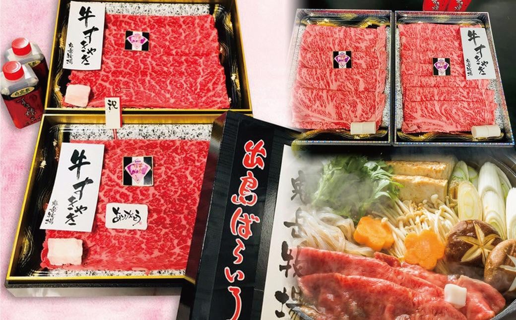 【全2回定期便】長崎和牛 出島ばらいろ レギュラータイプ M ／ 和牛 国産 肉 牛肉 お肉 サーロイン モモまたはウデ すき焼き しゃぶしゃぶ 長崎県 長崎市