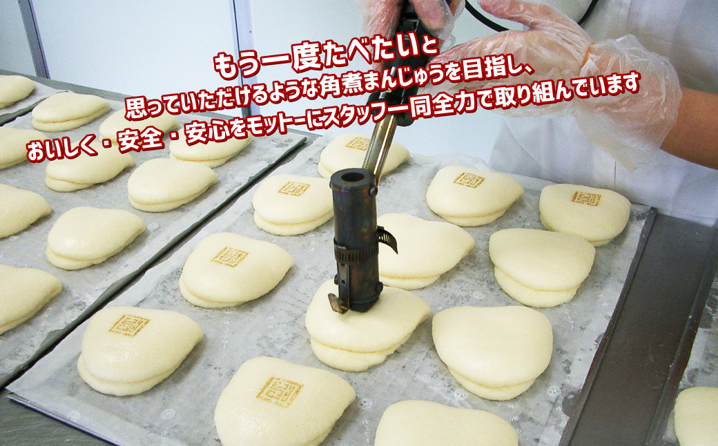 長崎角煮まん 8個・大とろ角煮まん 8個 (各箱入) 角煮 かくに 角煮まんじゅう 岩崎本舗