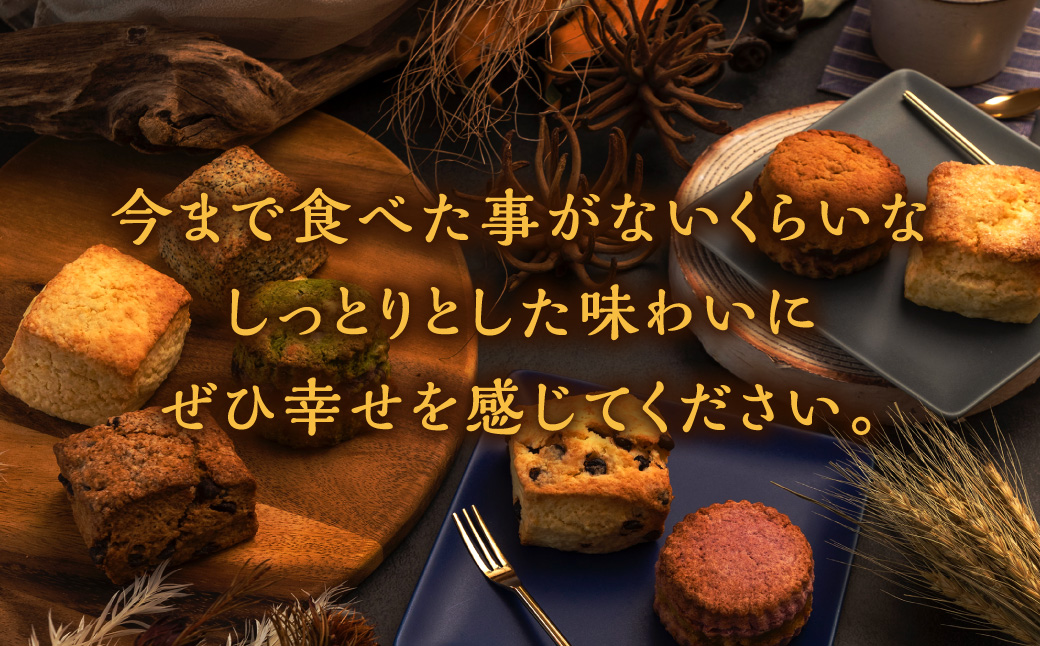 【全6回定期便】おまかせ思案橋スコーンセット (9個入り)  お菓子 おかし 菓子 おまかせセット 定期 長崎