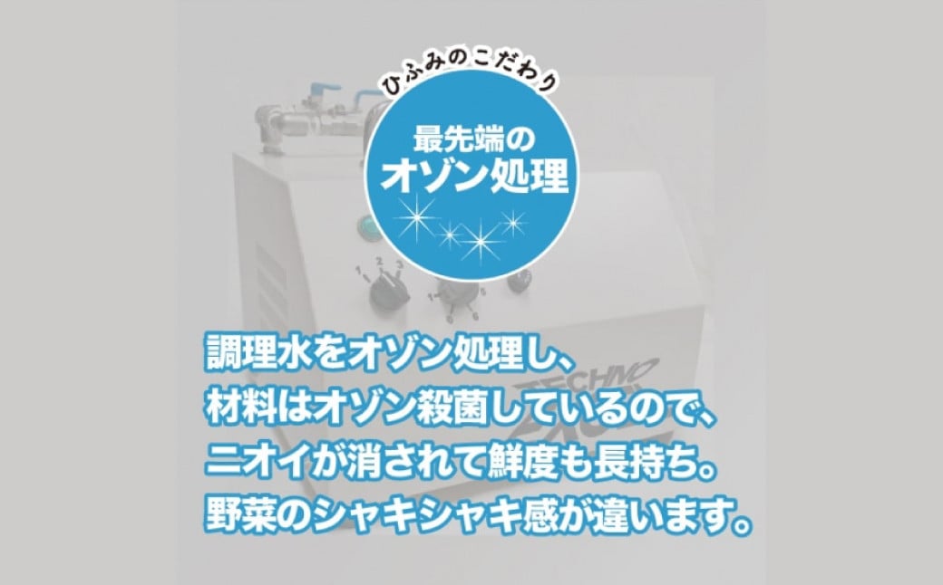 【全12回定期便】《具材付》長崎冷凍ちゃんぽん 総計120食 (10食×12回) ／ 長崎ちゃんぽん ちゃんぽん チャンポン 麺 麺類 スープ 具付き ひふみ 長崎県 長崎市