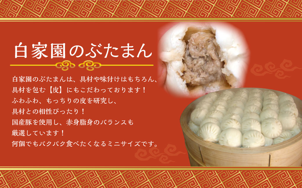 全3回定期便】長崎ぶたまん 40個 (40個×3回) 合計120個 ／ ミニサイズ