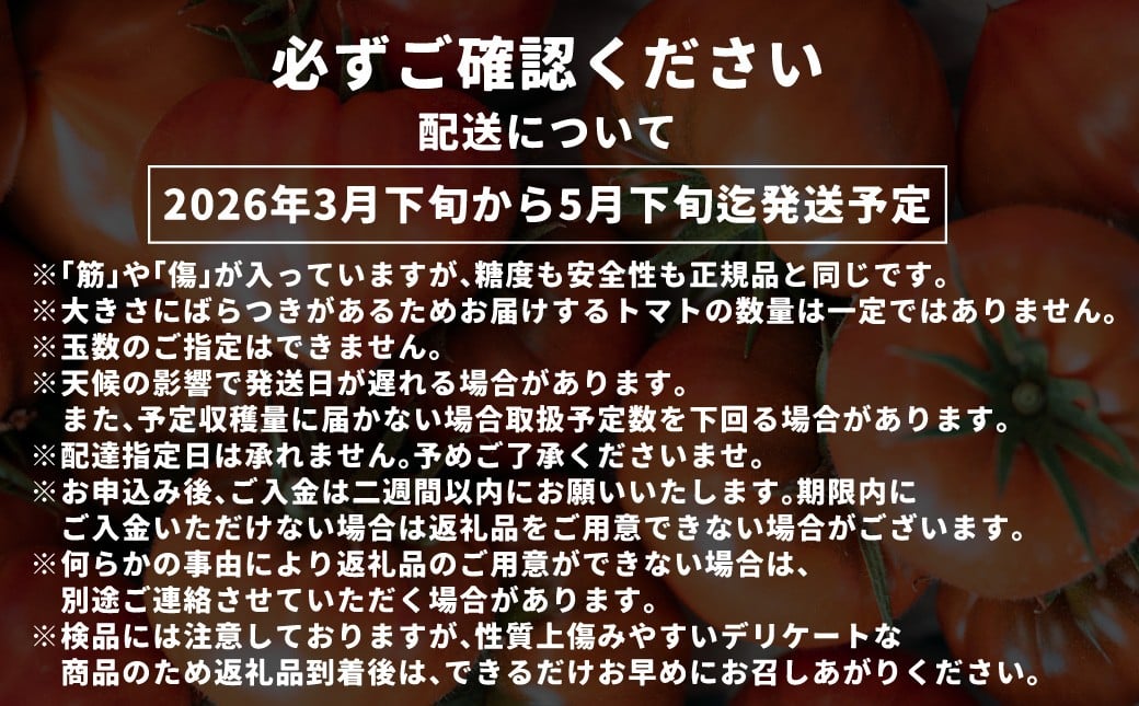 【訳あり】 たかしまフルーティトマト 【糖度8度以上】 「情熱ハート」 約3kg箱×1 ／ フルーティートマト フルーツトマト トマト とまと 高糖度 甘い 野菜 やさい サラダ 【2026年3月下旬～5月下旬発送予定】