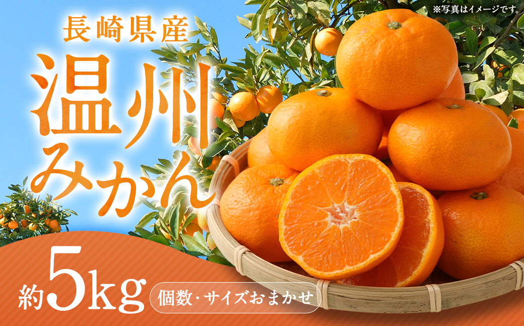長崎県産 温州みかん 5kg (個数・サイズ おまかせ) ／ フルーツ 果物 くだもの 果実 ミカン 蜜柑 柑橘 長崎県 長崎市 川口農園 アフター保証  【2025年10月上旬～2026年1月下旬迄発送予定】