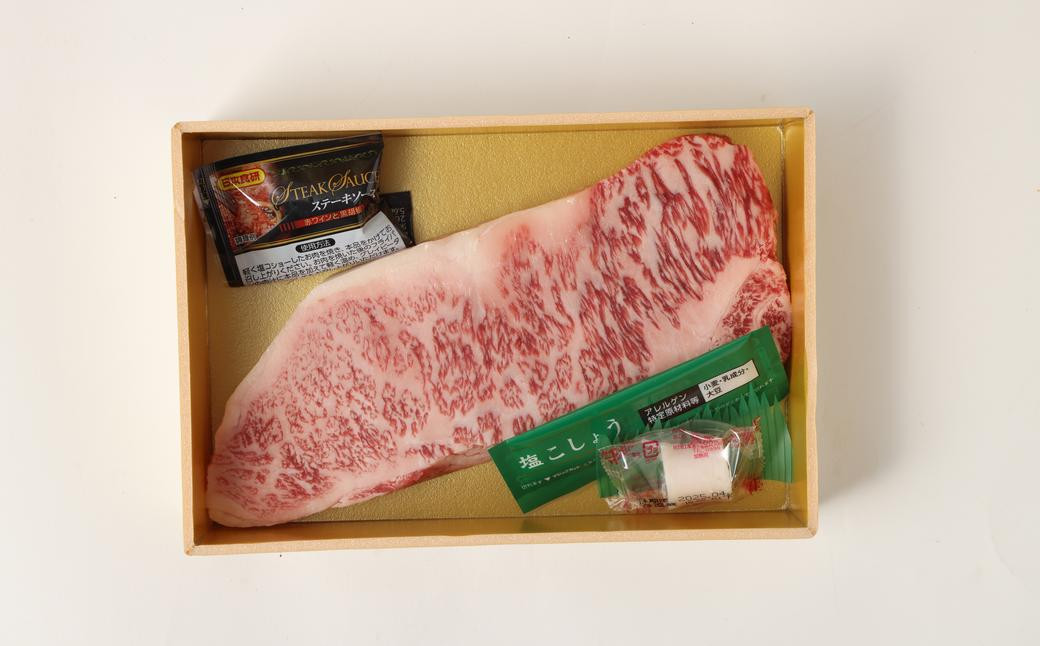 長崎和牛 ヒレ・サーロインセット 計400g ／ 和牛 国産 肉 お肉 牛肉 ステーキ 焼肉 バーベキュー BBQ アウトドア 長崎 肉のマルシン