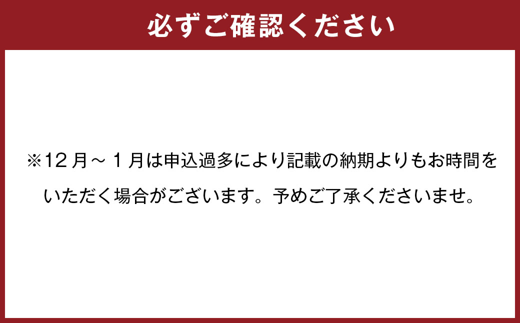 ちゃポリタン10食セット 新名物 ちゃんぽん かまぼこ