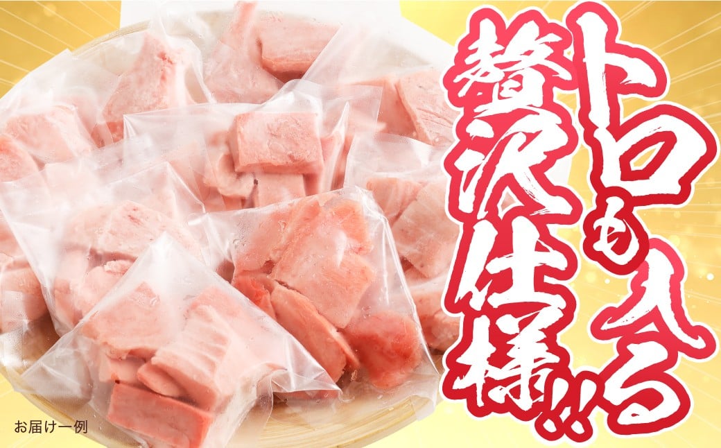【訳あり】みやび鮪 切り落とし 端っこちゃん 計約900g（約100g×9） 9〜10人前 ／ マグロ 鮪 トロ 本鮪 本マグロ 本まぐろ 冷凍まぐろ 冷凍鮪 まぐろ 赤身 トロ 鮪赤身 鮪トロ 国産鮪 国産まぐろ 切落し きりおとし 魚 海鮮 刺身 刺し身 冷凍 長崎 長崎県 長崎市