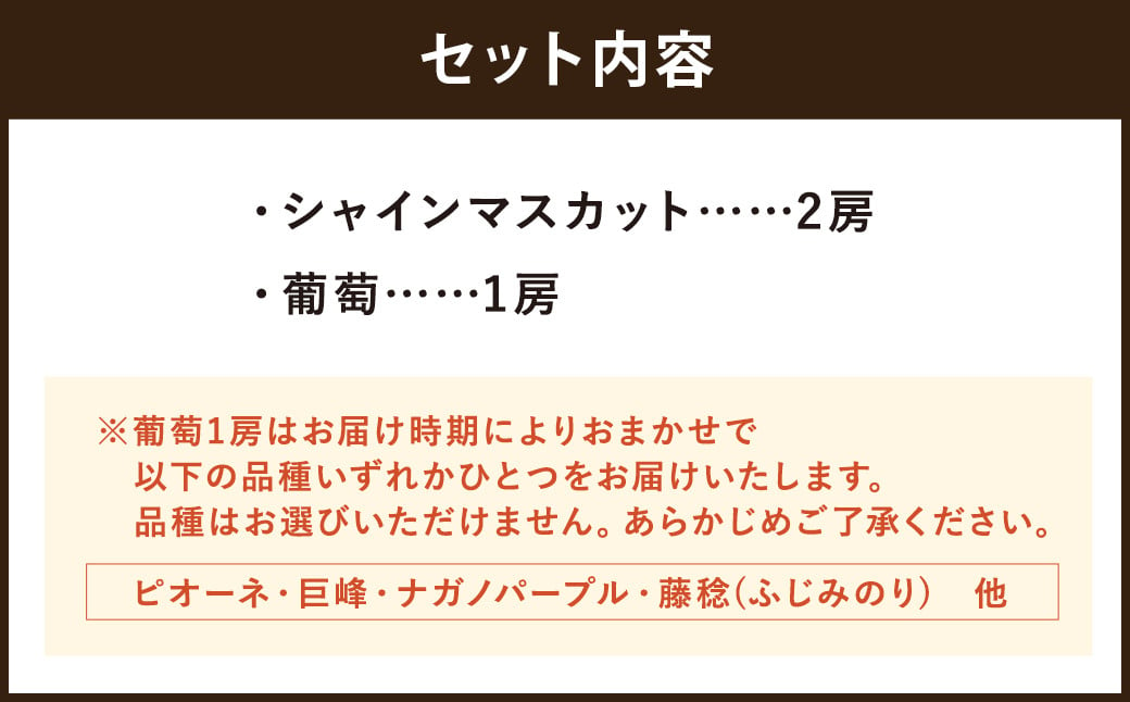 ぶどう食べ比べセット！ シャインマスカット2房、葡萄1房 計3房【2025年8月上旬～8月下旬迄発送予定】葡萄 ぶどう ブドウ シャインマスカット マスカット ピオーネ 巨峰 ナガノパープル 藤稔 ふじみのり 果物 フルーツ 季節の果物 食べ比べ セット 詰め合わせ 詰合せ 長崎県産 長崎市産 長崎県 長崎市 冷蔵