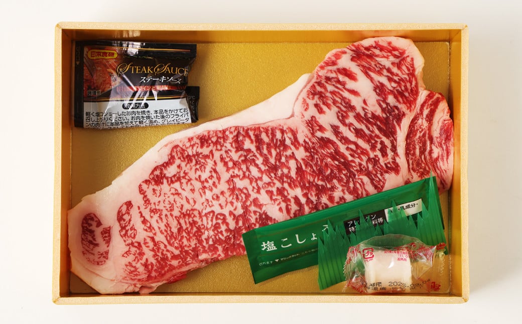 【全6回定期便】長崎和牛「出島ばらいろ」特選霜降 サーロインステーキたっぷり500g ／国産 A4等級以上 和牛 牛肉 お肉 ステーキソース 塩コショウ付き 冷凍 長崎